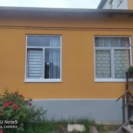 Mit Garten In Zentrum Apartment